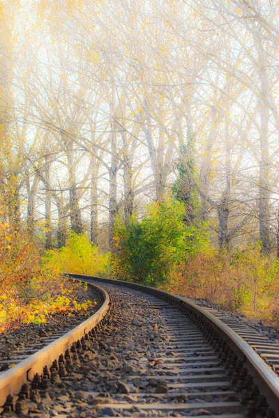 Scenic railroad in autumn — Stock Photo, Image