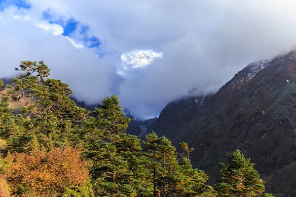 Paysages de montagne en Himalaya — Photo