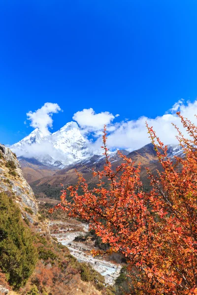 Himalaya dağ manzarası — Stok fotoğraf