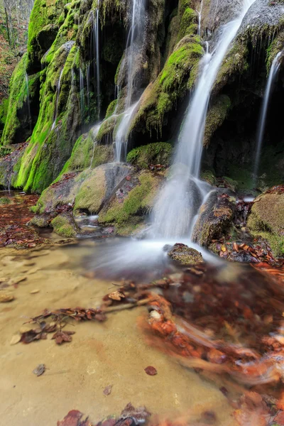 Piękna jesień liści, wodospady i górski strumień — Zdjęcie stockowe