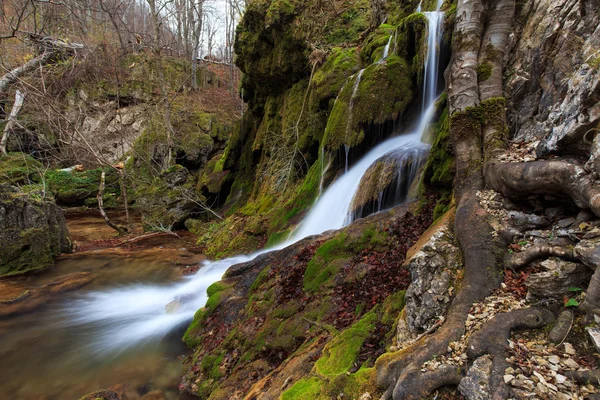 Beautiful autumn foliage and waterfalls — Stock Photo, Image