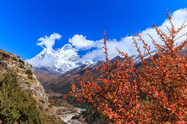 Himalaya dağ manzarası — Stok fotoğraf