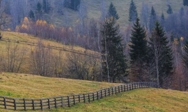 Kırsal alanda sonbahar sahne