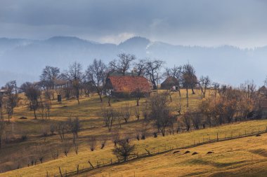 Kırsal alanda sonbahar sahne