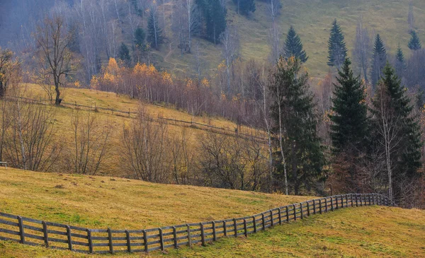 Herbstkulisse im ländlichen Raum — Stockfoto