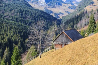 Kırsal alanda sonbahar sahne