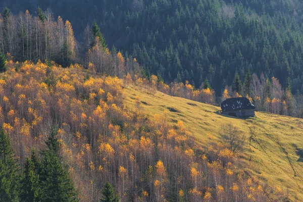 秋天的景色，在农村地区的山 — 图库照片