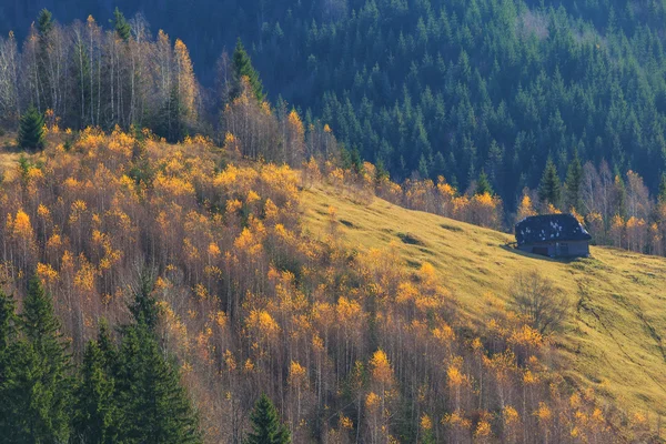 Dağlarda kırsal alanda sonbahar sahne — Stok fotoğraf