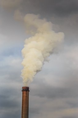 Bitki yığınlar ve duman kömür ile endüstriyel sahne by