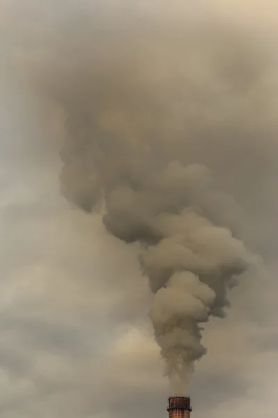 Yoğun duman — Stok fotoğraf