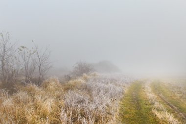 Transilvanya Alpleri sahne