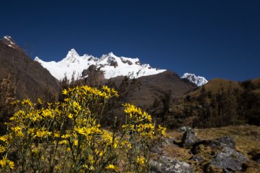 Andes güzel dağ manzarası