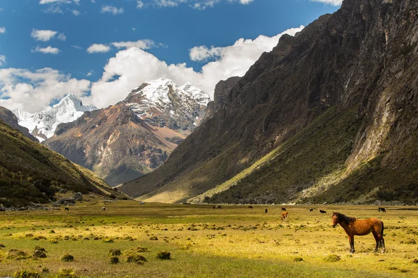 Krajobraz górski w Andach — Zdjęcie stockowe