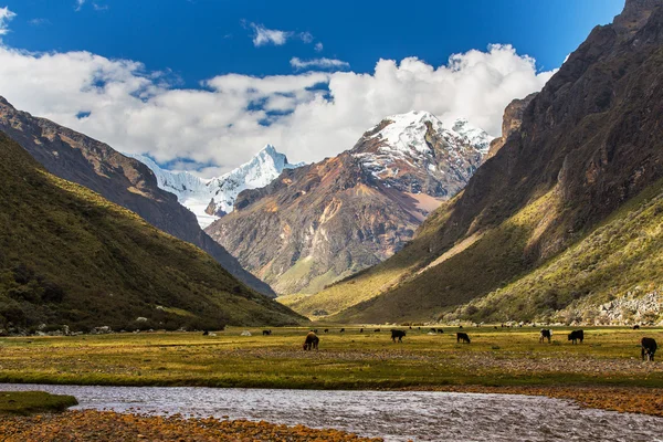 Paisaje de montaña en los Andes — Foto de Stock