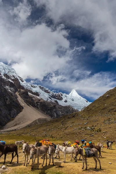 Paisaje de montaña en los Andes — Foto de Stock