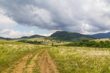 Avrupa 'nın vahşi bir bölgesinde ilkbaharda dalgalı çim tarlaları olan güzel dağ manzarası.