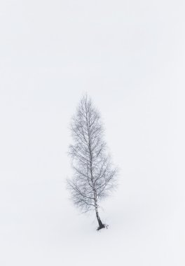 Dağlarda kış manzarası