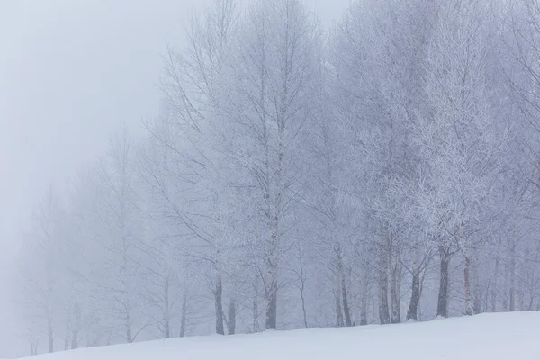 Cenário de inverno nas montanhas — Fotografia de Stock