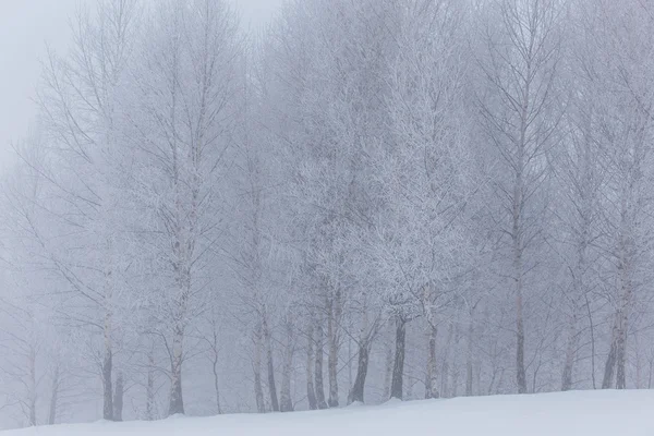 Cenário de inverno nas montanhas — Fotografia de Stock