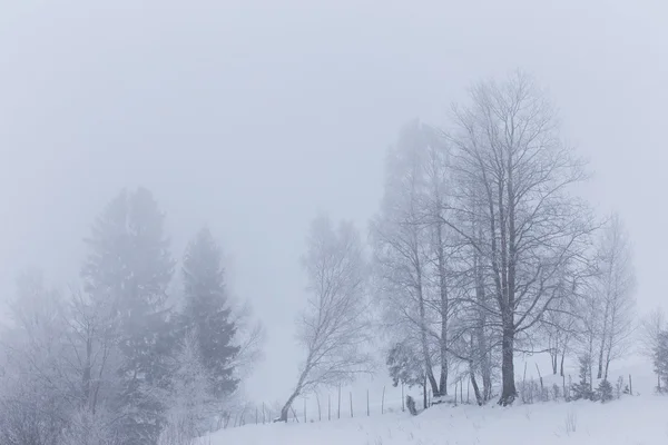 Cenário de inverno nas montanhas — Fotografia de Stock