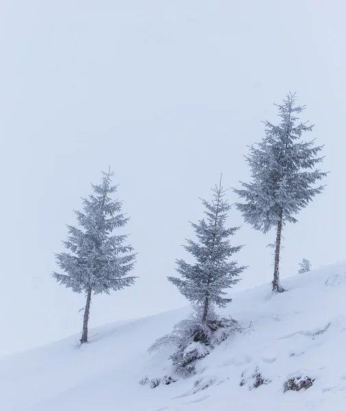 Cenário de inverno nas montanhas — Fotografia de Stock