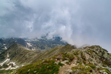 Güzel dağ manzarası, el değmemiş buzul gölü, yaz başında Transilvanya Alplerinde kayalar ve bahar çiçekleri.