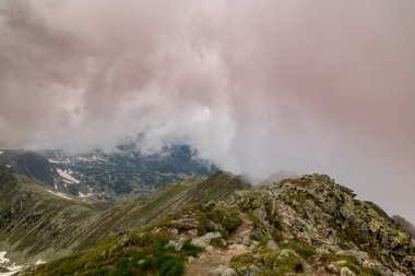 Güzel dağ manzarası, el değmemiş buzul gölü, yaz başında Transilvanya Alplerinde kayalar ve bahar çiçekleri.