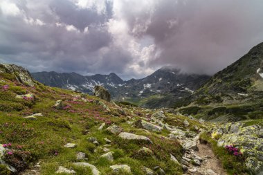 Transilvanya Alpleri 'nde Temmuz ve Ağustos aylarında muhteşem görüntüler ve dramatik fırtına bulutlarıyla yaz manzarası.