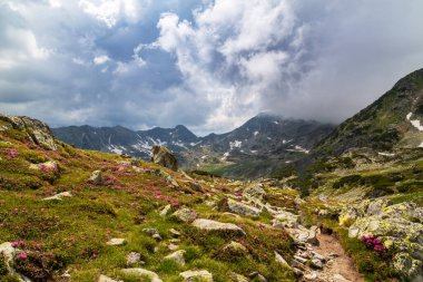Transilvanya Alpleri 'nde Temmuz ve Ağustos aylarında muhteşem görüntüler ve dramatik fırtına bulutlarıyla yaz manzarası.