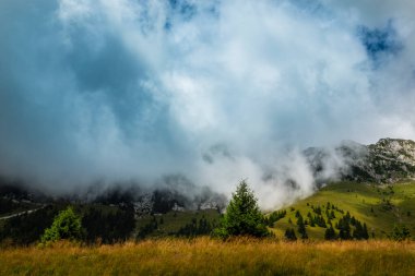 Transilvanya Alpleri 'nde Temmuz ve Ağustos aylarında muhteşem görüntüler ve dramatik fırtına bulutlarıyla yaz manzarası.
