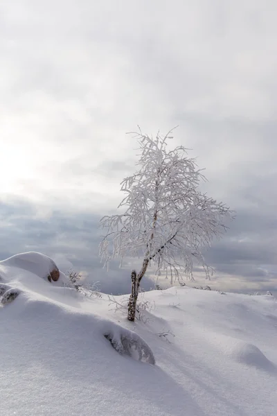 Зимние пейзажи в горах — стоковое фото