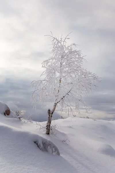 Cenário de inverno nas montanhas — Fotografia de Stock