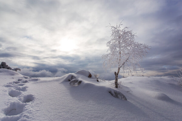 Зимние пейзажи в горах