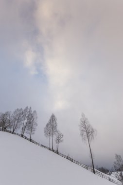 Dağlarda kış manzarası