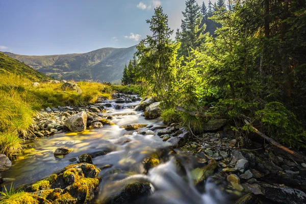 Beautiful mountain scenery in the Transylvanian Alps — Stock Photo, Image