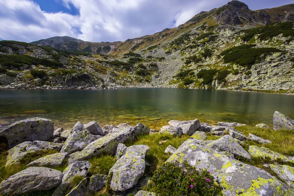 Krásné horské scenérie v Transylvánské Alpy — Stock fotografie