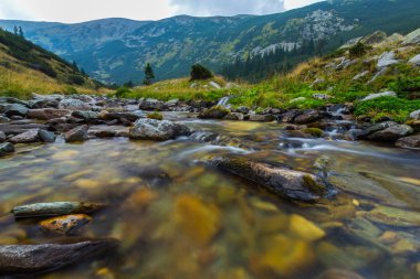 Transilvanya Alpleri'nde dağ manzarası