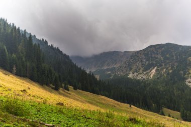 Transilvanya Alpleri'nde dağ manzarası