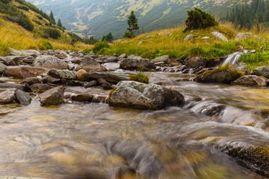 Transilvanya Alpleri'nde dağ manzarası