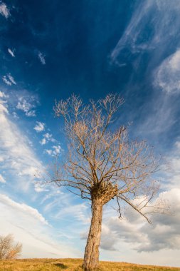 Transilvanya uzak kırsal bölgede sonbahar sahne