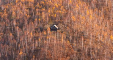 Transilvanya uzak kırsal bölgede sonbahar sahne