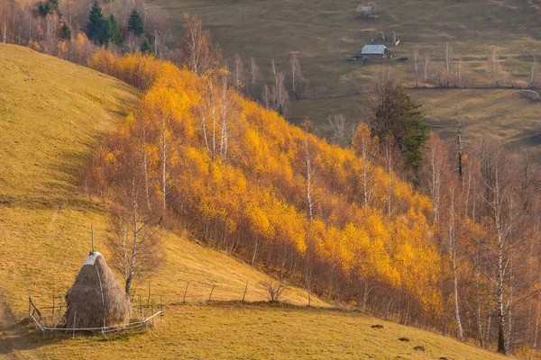 Herbstlandschaft in abgelegener ländlicher Gegend in Transsilvanien — Stockfoto