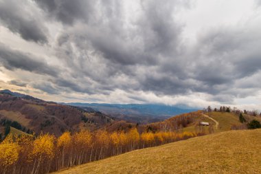 Transilvanya uzak kırsal bölgede sonbahar sahne