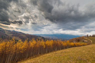 Transilvanya uzak kırsal bölgede sonbahar sahne