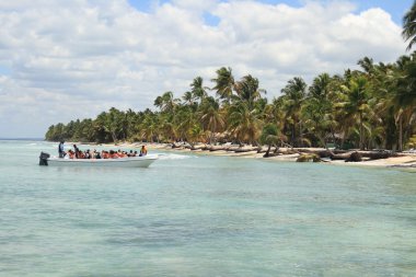 Saona Island Karayipler beach