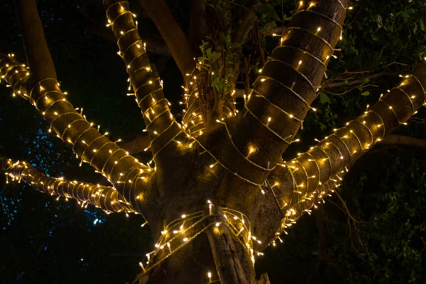 Imagem Desfocada Luzes Decorativas Corda Livre Penduradas Árvore Jardim Noite — Fotografia de Stock