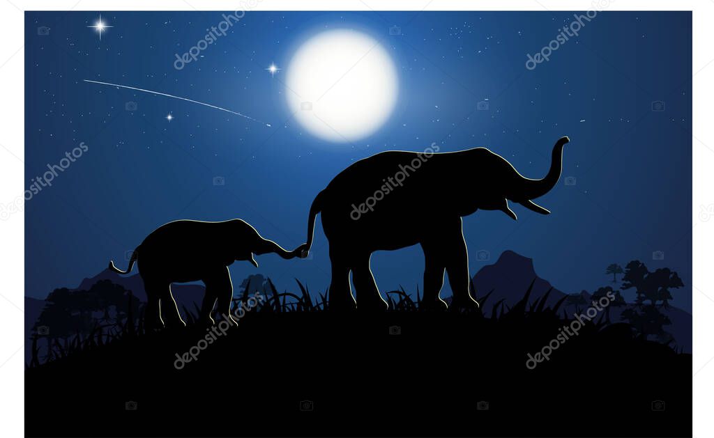 silhouette image Black elephant walking at the forest with mountain and Moon background Evening light vector Illustration