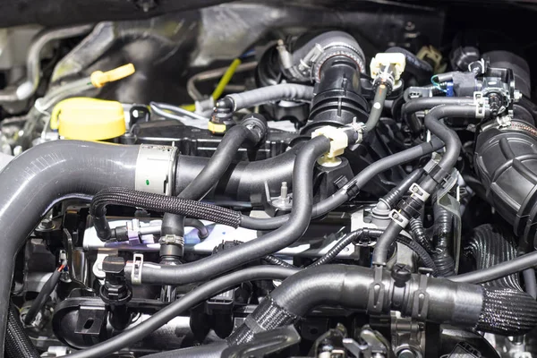 Araba lastiği boruları ve hortumlar arabanın radyatöründen motora gidiyor.
