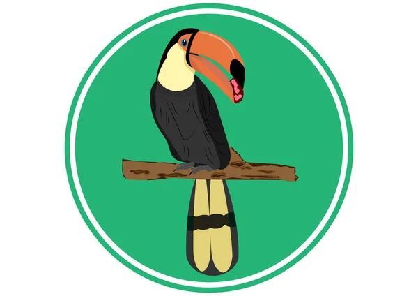 Hornbill Pájaro Pie Rama Del Diseño Del Árbol Para Logotipo — Vector de stock