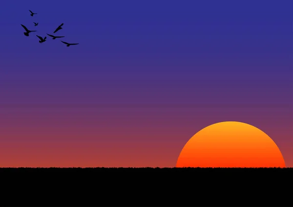 Γραφική Εικόνα Ηλιοβασίλεμα Ανατολή Πορτοκαλί Και Μπλε Του Ουρανού Γρασίδι — Διανυσματικό Αρχείο